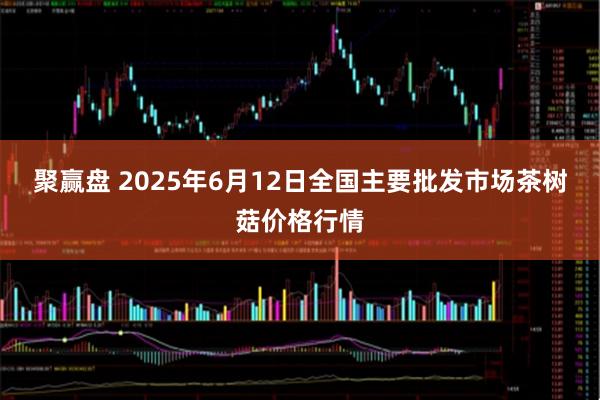 聚赢盘 2025年6月12日全国主要批发市场茶树菇价格行情