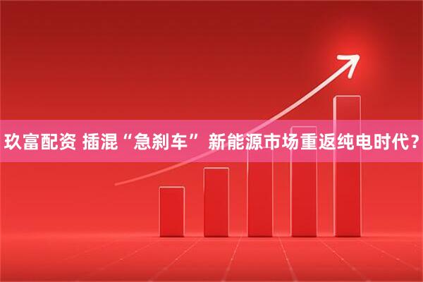 玖富配资 插混“急刹车” 新能源市场重返纯电时代?