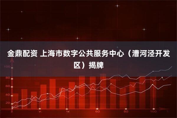 金鼎配资 上海市数字公共服务中心（漕河泾开发区）揭牌